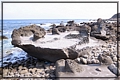 2011-04-16 B14-56-07海岸線沿途景觀.JPG